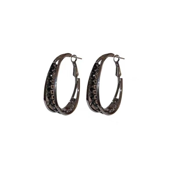 High-grade Metal Hoop Earrings Female 925 Silver Needle Niche - Image 4